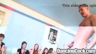 Dancingcock hotel party