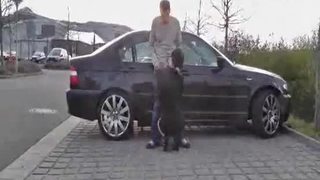 Street hooker fist fucked in public